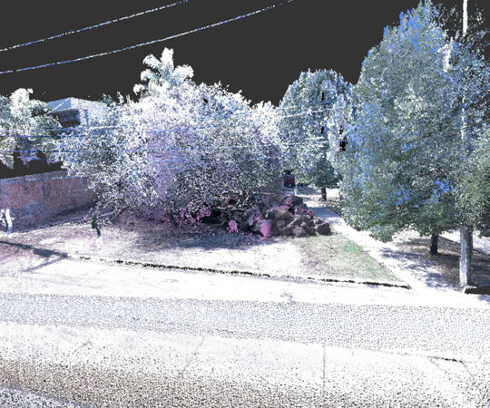 Jardín Argentino_Plot_-_CAMUZ_3D Laser Scan_Point Cloud_thumbnail